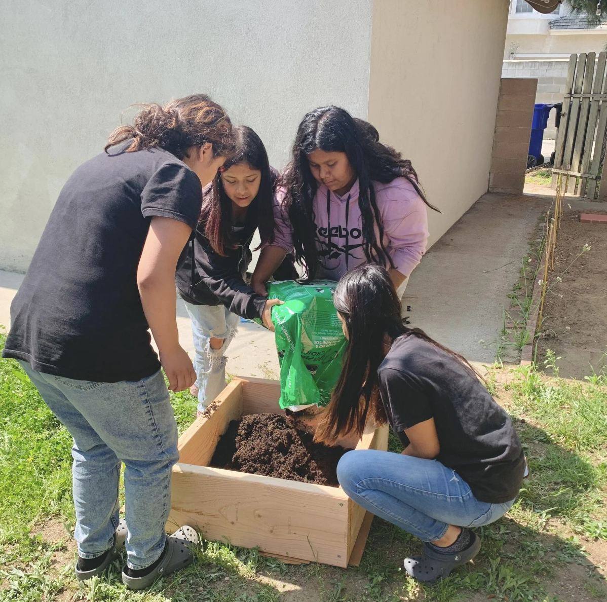 Junior youth working together on a community service project